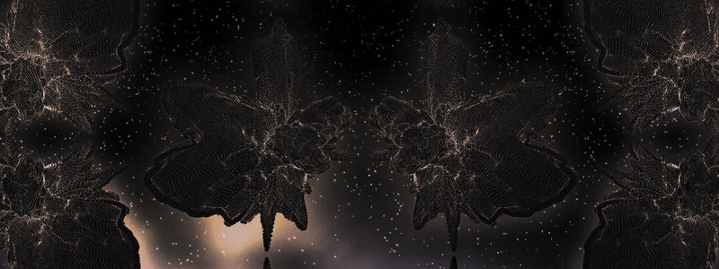 IMG-BANNER