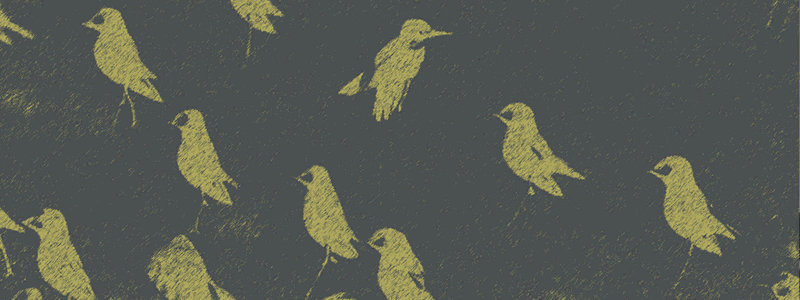 IMG-BANNER