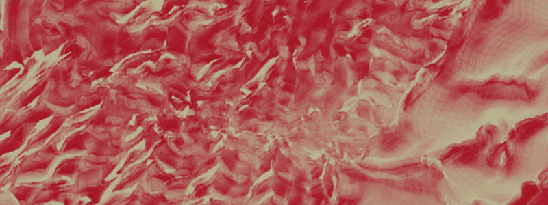 IMG-BANNER