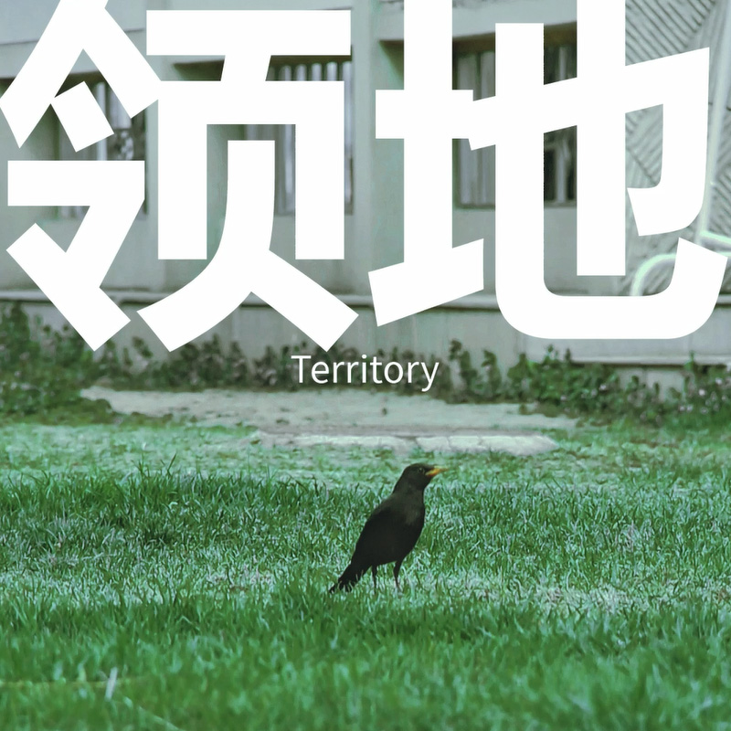 IMG-BLOG