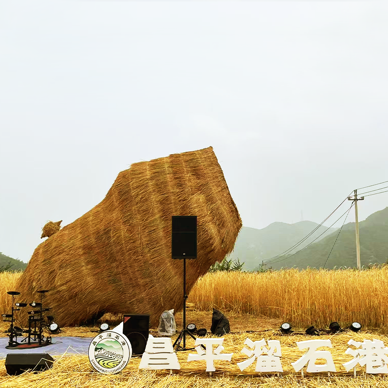 IMG-BLOG