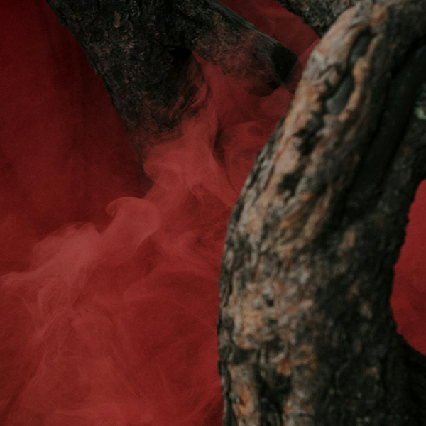 IMG-BLOG
