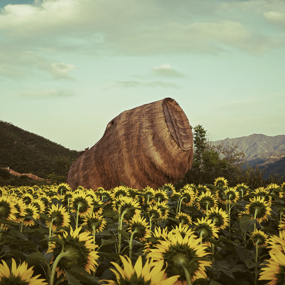 IMG-BLOG