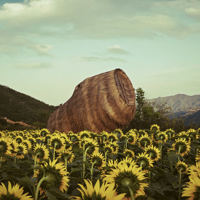 IMG-BLOG