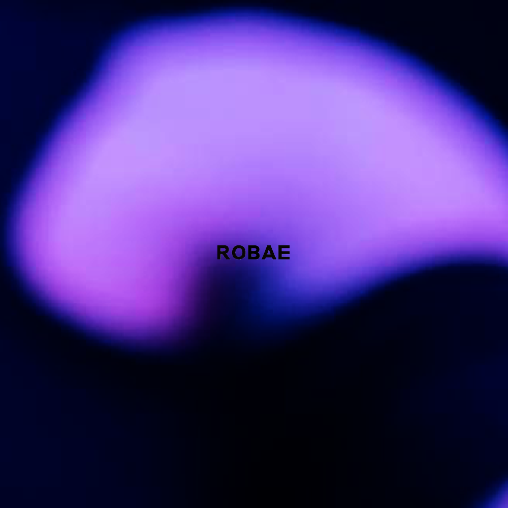 IMG-BLOG